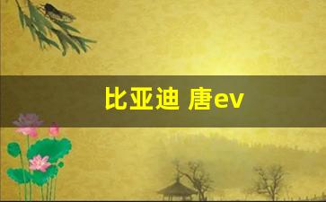 比亚迪 唐ev